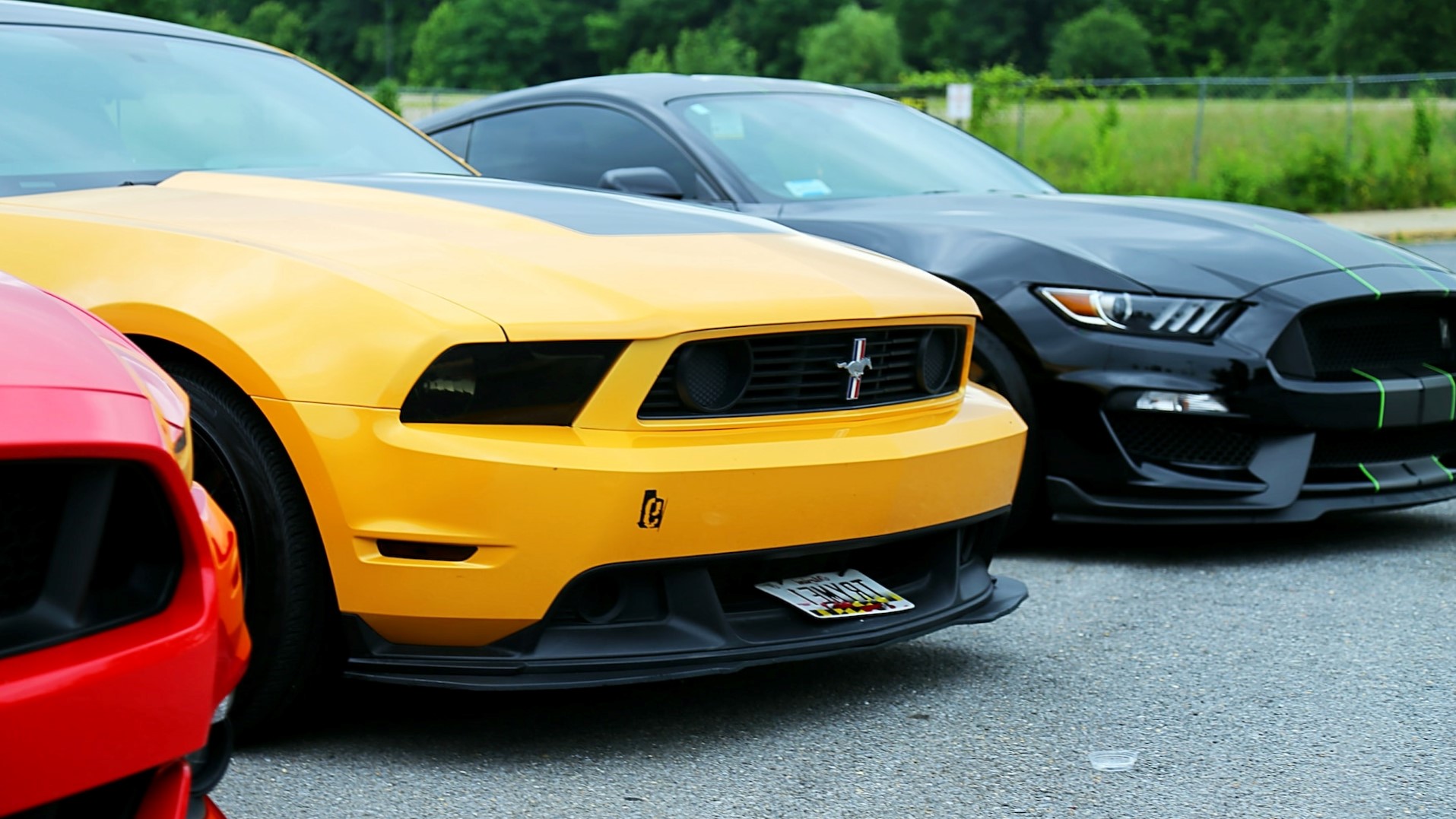 MUSTANG/CAMARO/CORVETTE Performance Manual Transmissions/Clutch/Repairs ...